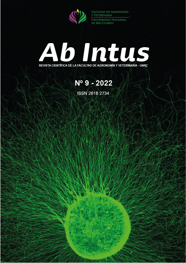 					Ver Vol. 5 Núm. 9 (2022): Ab Intus 9
				
