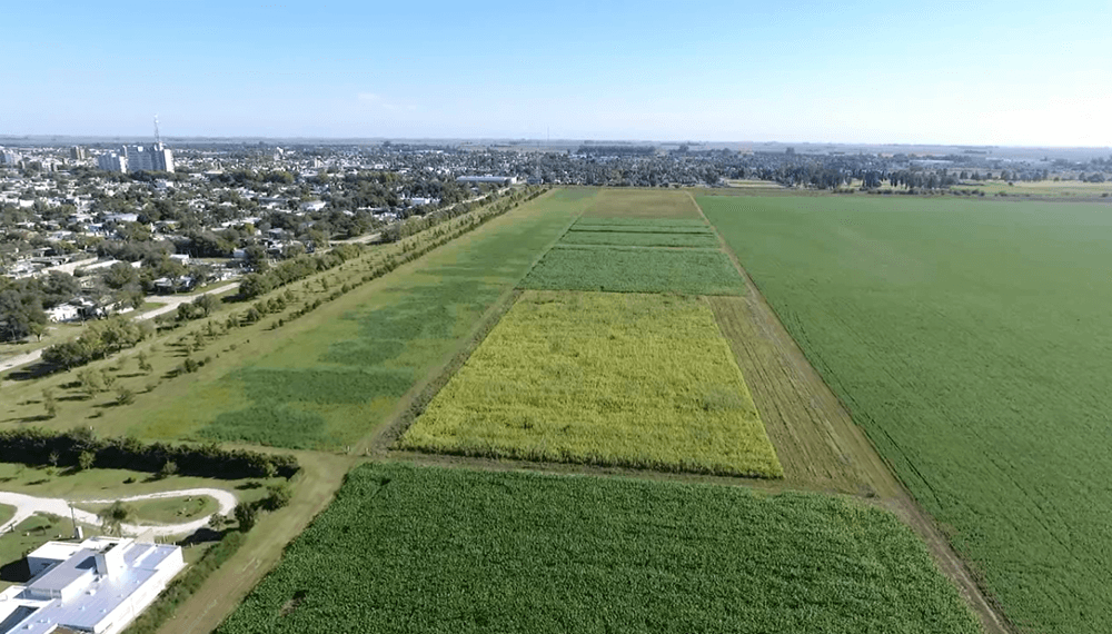 GESTIÓN AGROPECUARIA Y AGROALIMENTARIA