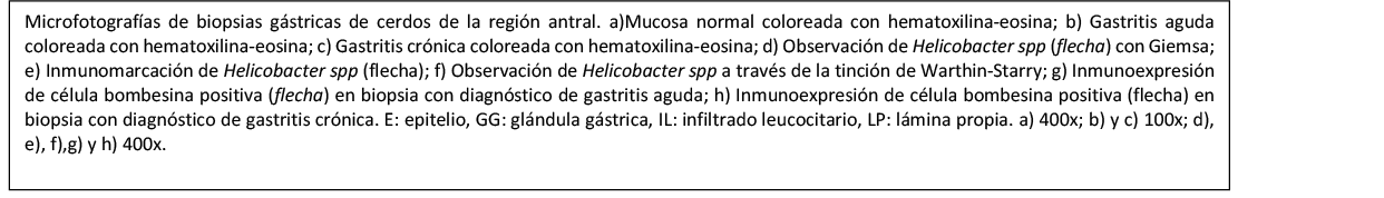 https://www.hum.unrc.edu.ar/wp-content/uploads/2020/06/1.png