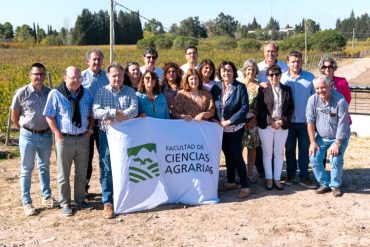 Nuevos reproductores ovinos en el campo Pozo del Carril