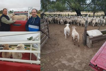 La decana participó de una reunión de AUDEAS en la UNCUYO