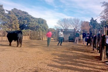 Estudiantes de la orientación de salud pública de medicina veterinaria, visitaron el frigorífico AVEX SA