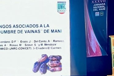Hablemos de rabia