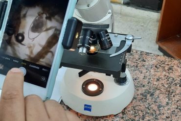 Ciclo de seminarios en Mejoramiento Genético: ¿Las semillas de la discordia? Genética, innovación y sociedad.