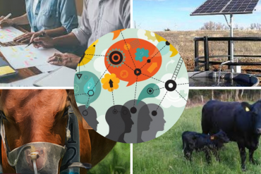 Jornada sobre ensilado de maíz para estudiantes avanzados de las Ciencias Agropecuarias