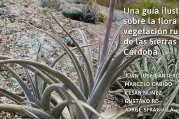 Inscripciones abiertas para la 5ta Cohorte de la Especialización en Sanidad de los Rumiantes Domésticos