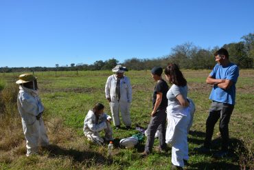 Curso extracurricular de posgrado sobre el impacto en la calidad de carne en las distintas etapas de producción bovina