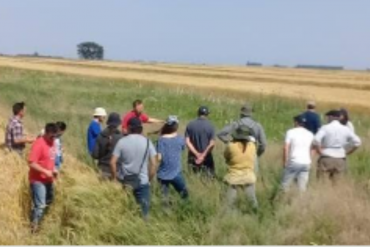 Seminario de posgrado sobre el comportamiento de especies vegetales en ecosistemas diversos
