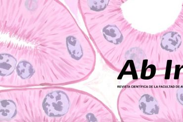 XIII Jornada de las Ciencias Agropecuarias