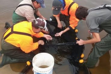Mortandad de peces en embalse Río Tercero