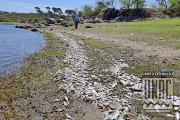 Curso de posgrado Manejo de la Biodiversidad