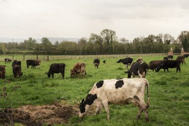 Curso de posgrado “Diseño de manejo con enfoque agroecológico de sistemas extensivos”