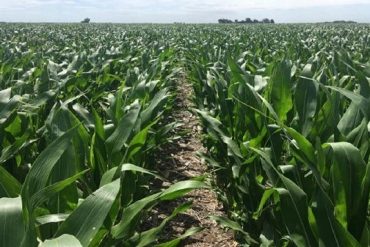 Jornada sobre uso agronómico de residuos pecuarios e industriales