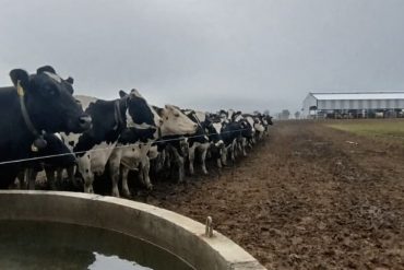 Docentes de la Cátedra de Dasonomía participaron en JOTEFA 2026